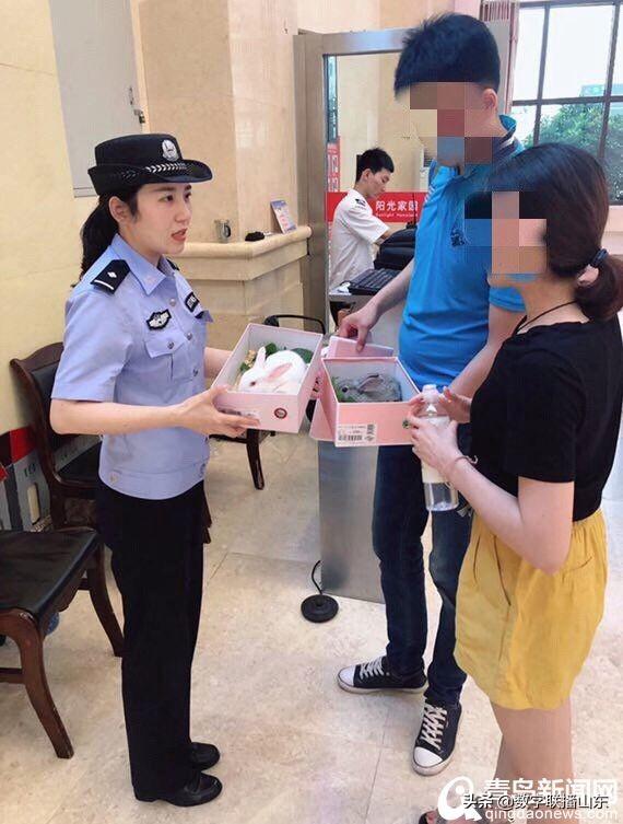 导盲犬坐公交车为什么总被司机拦下？