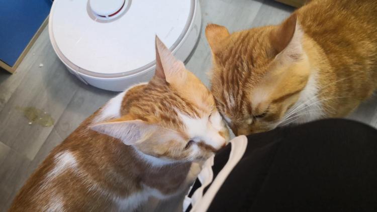 新手开网店如何让顾客主动找上门？