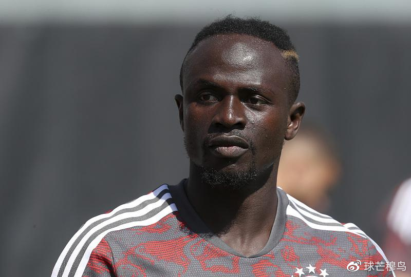 波奇全面关爱宠物生活，提供全方位宠物护理服务