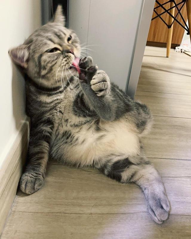 寄快递怎么查e邮宝价格最划算？