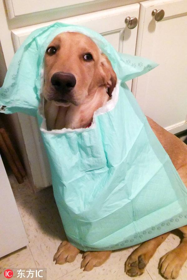 2024年6月有哪些黄道吉日适合办大事？