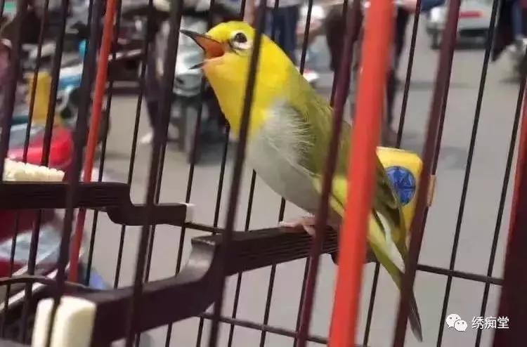 为什么古人用几根草棍就能预测未来？