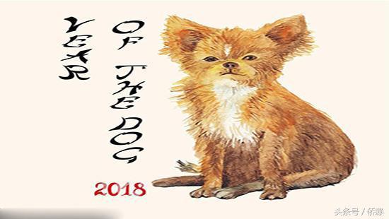 立春为什么要躲属相？这几个时辰千万别出门！