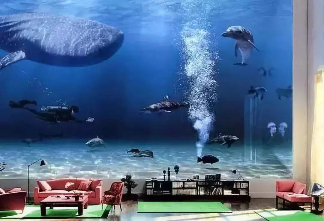 新手养鱼需要准备哪些装备? 新手养鱼需要准备哪些装备?