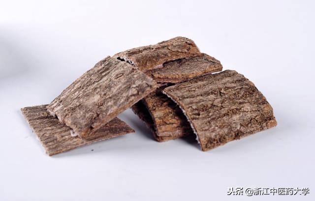 漏的拼音为什么总让人搞错？