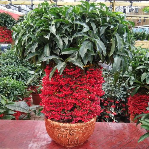 改名字真的能转运吗？