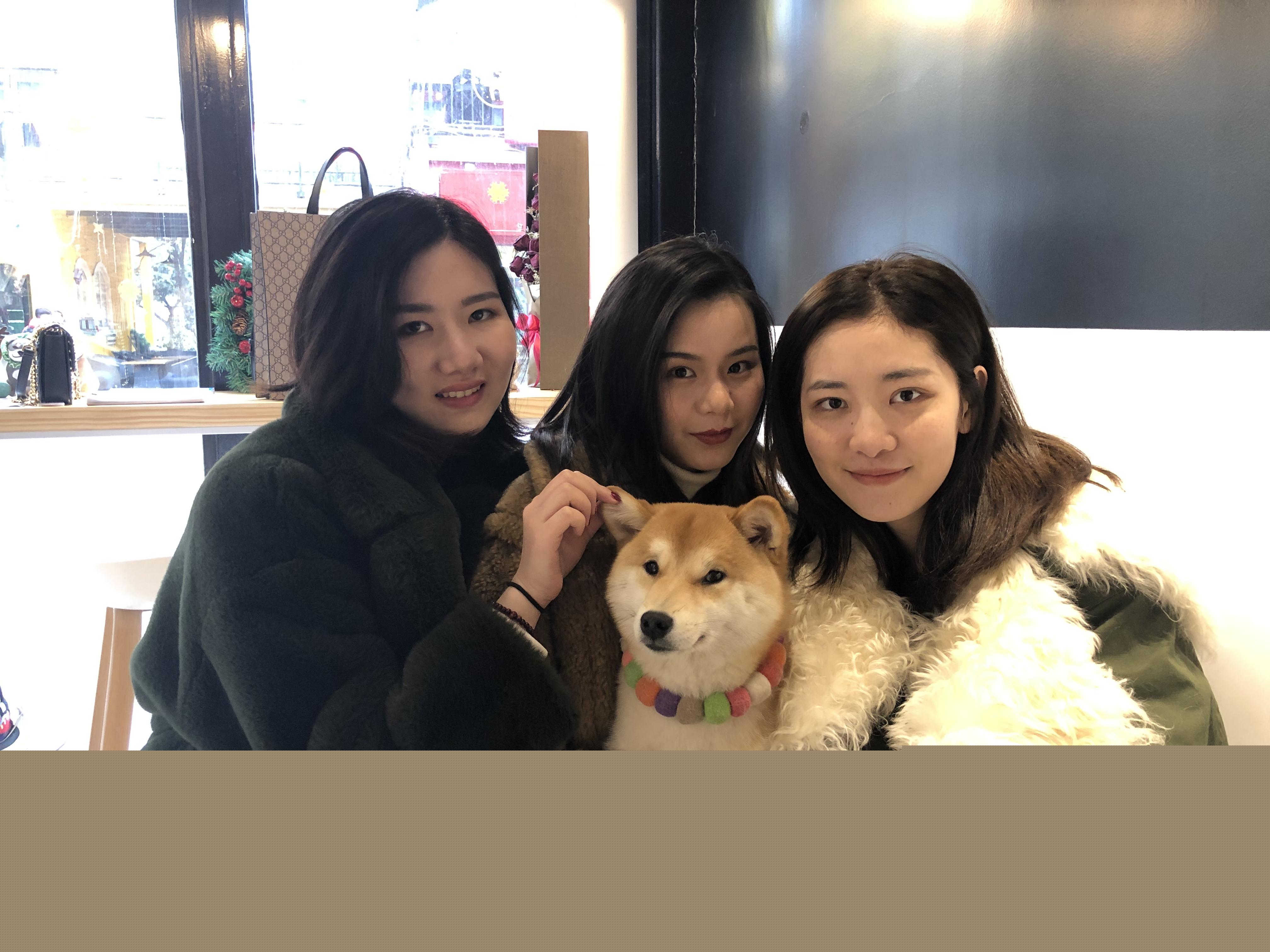 在成都买哈士奇真的只要两千块吗？