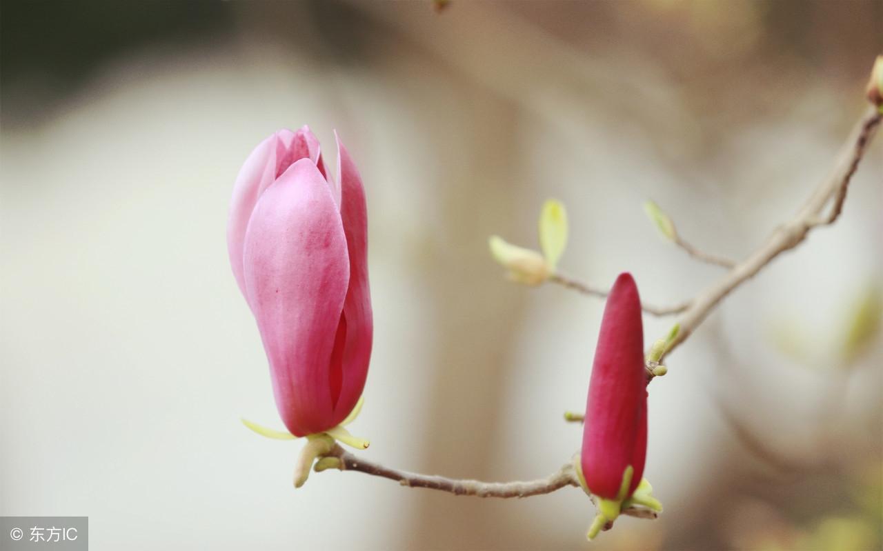 网上算命真能预测你的婚姻质量吗？