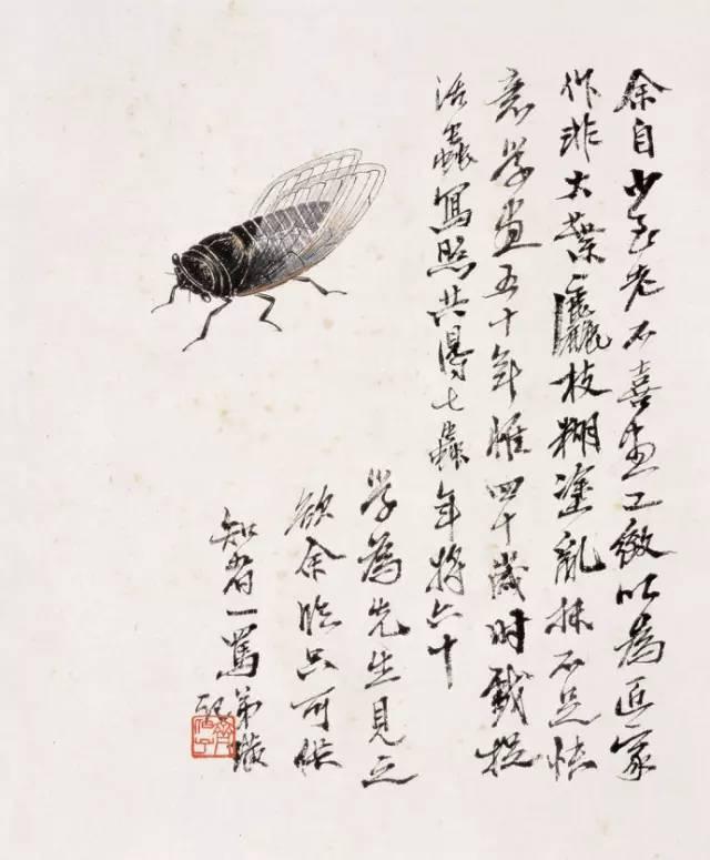 纺织娘真的适合零基础新手吗？