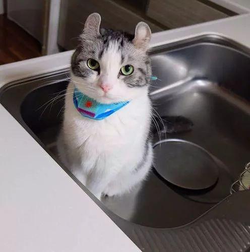 己亥年到底藏着什么开运密码？