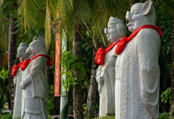 开车省油真的有秘诀吗？新手必看的省油宝全攻略