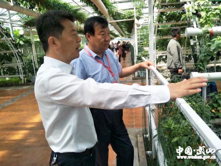 第一次去山东蔬菜批发市场怎么不被坑？