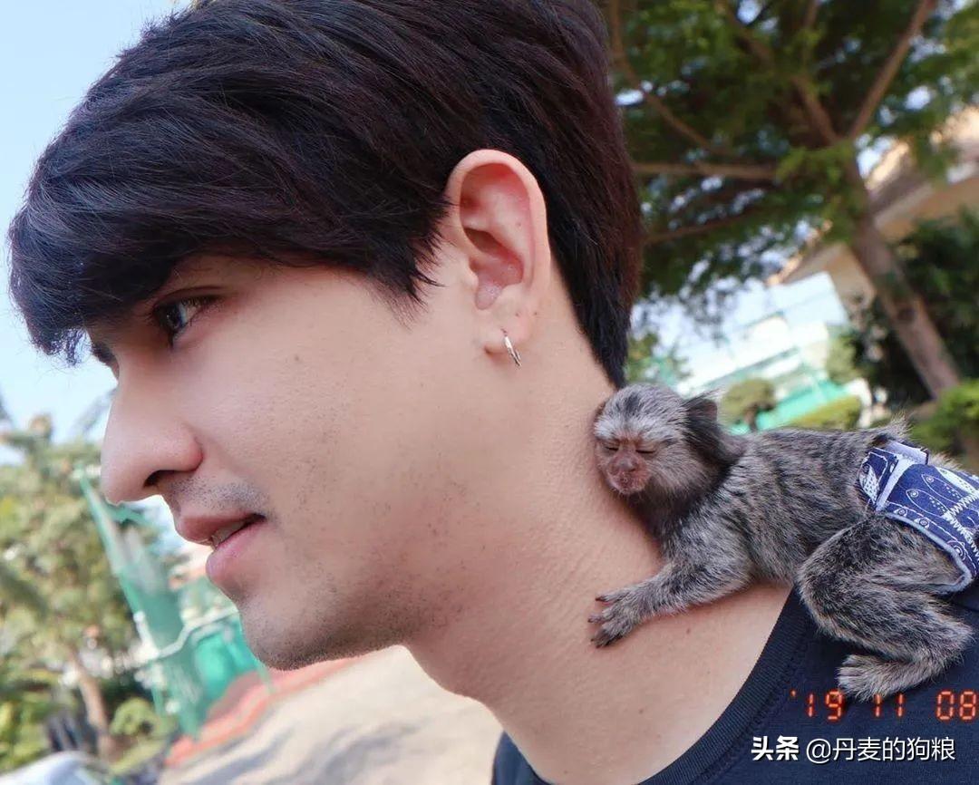 养袖珍猴真的像网上说的那么轻松吗？