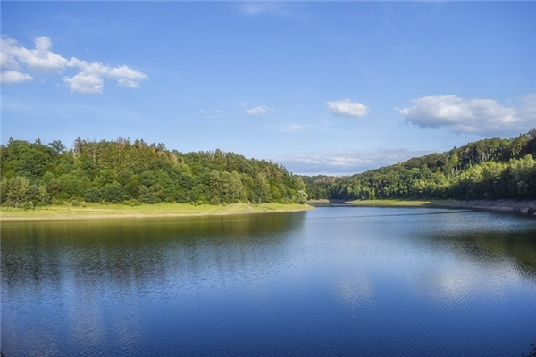 号脉入门知识_号脉怎么号出来怀孕_12月9号