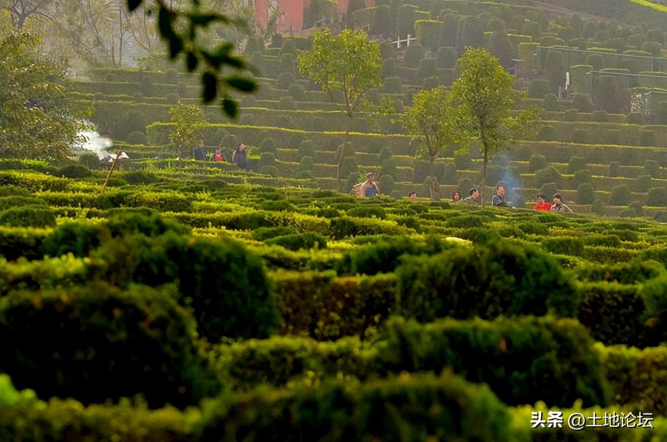 2023年上坟选哪天最合适？这些讲究你都知道吗？