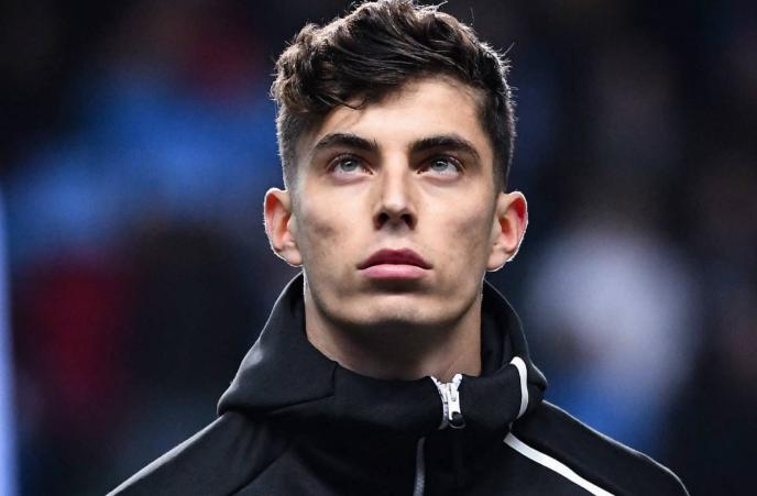 大白熊犬真的适合新手养吗？