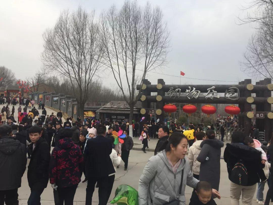 过年寄快递会不会被快递公司放鸽子？