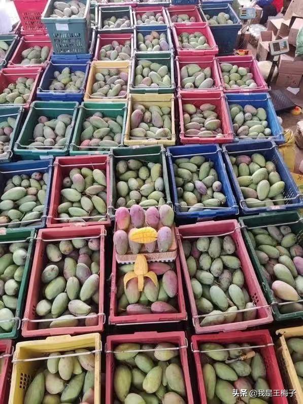 新手做电商怎么找不压货的靠谱货源？