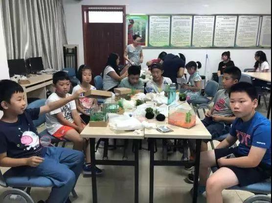 水族箱造景必备:观赏水草的美化与生态作用详解 水族箱造景必备:观赏水草的美化与生态作用详解