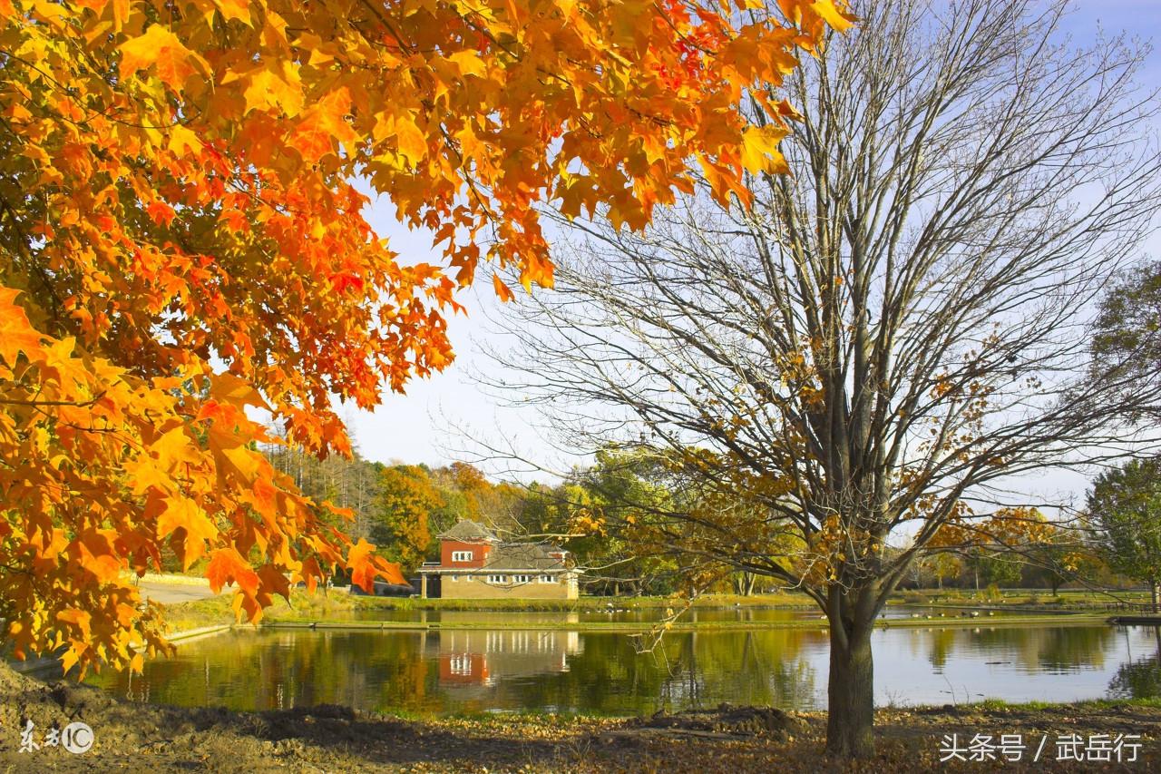 新手放风筝为什么总像在遛狗？