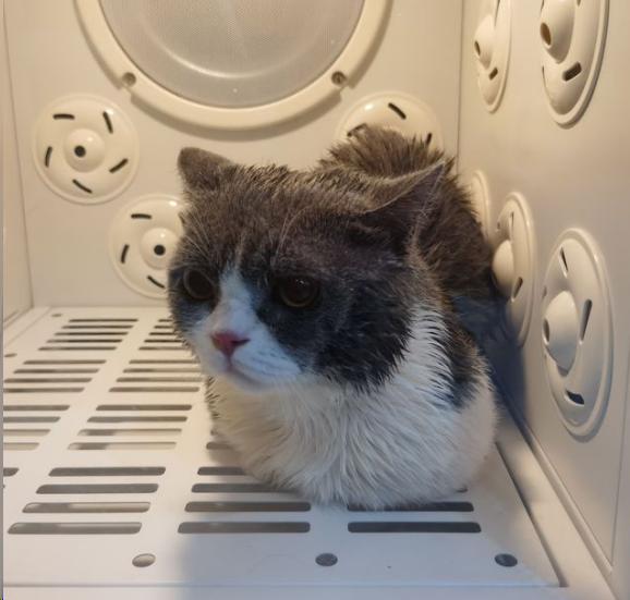 淘宝直播推广中常见违规词及案例分析，避免踩雷