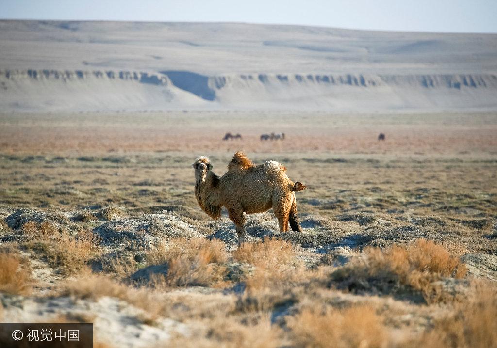 2017年4月16日藏着什么游戏圈大事件？