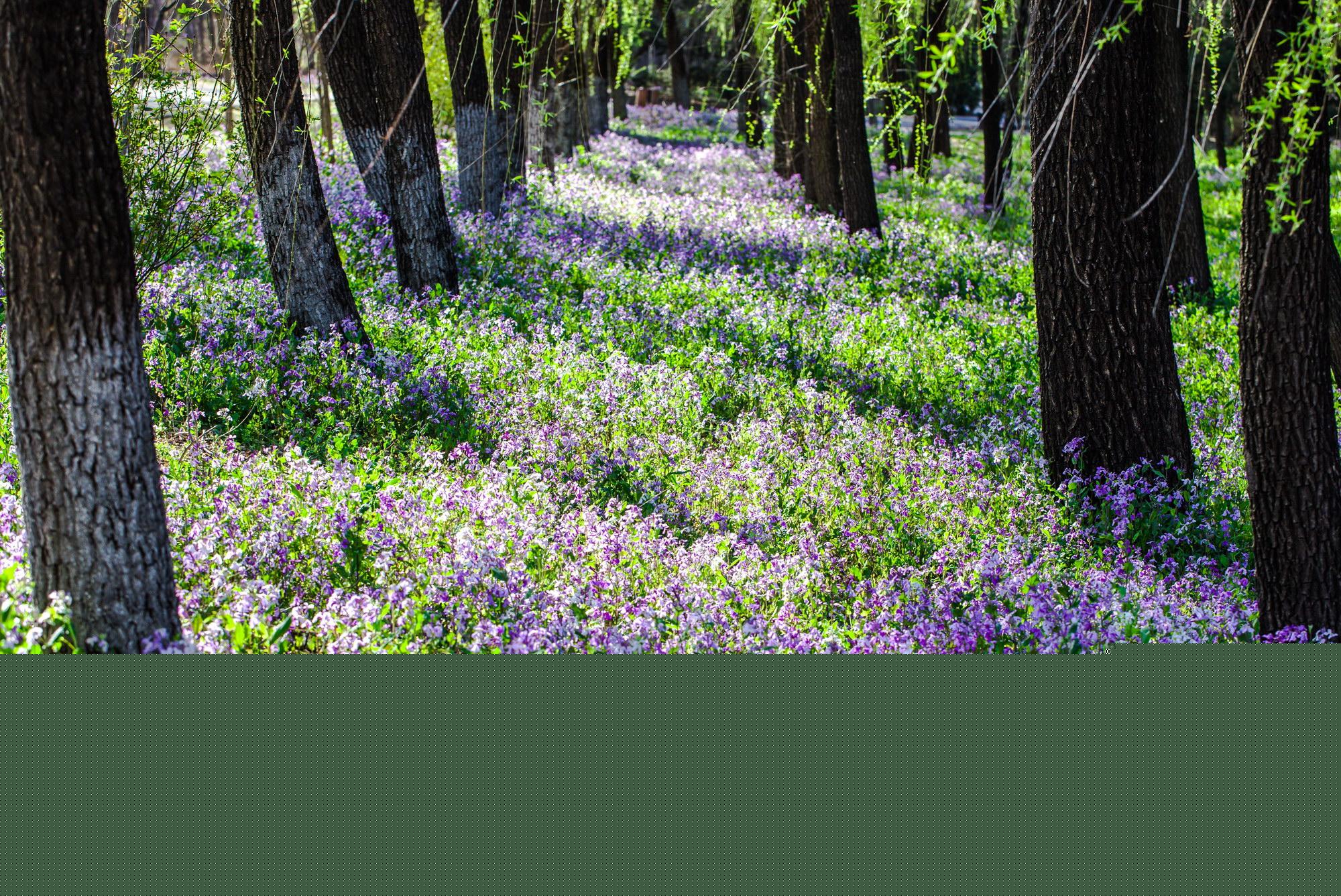 你的名字到底能打多少分？