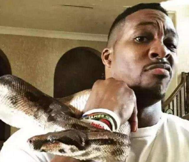 养蟒蛇当宠物真的靠谱吗? 养蟒蛇当宠物真的靠谱吗?