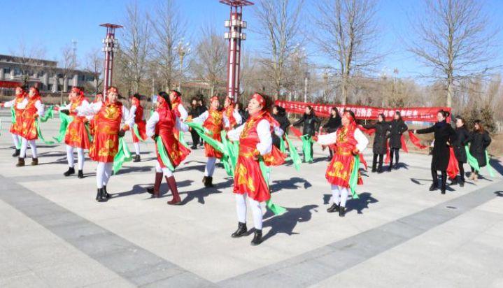 蒙古百灵到底值不值得养？