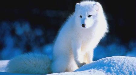 黄粉虫养殖真能躺着赚钱吗？