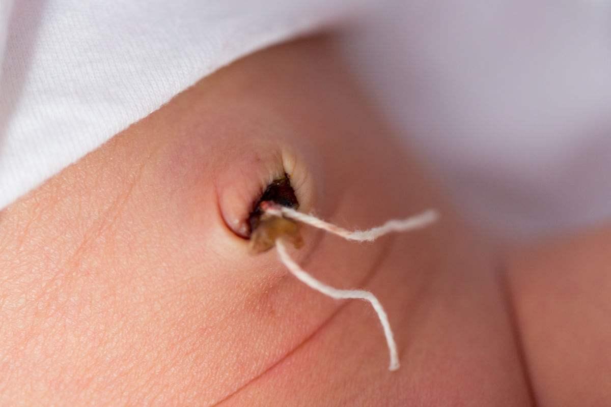 狗仔鲸到底该喂啥才不翻车？