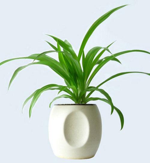 卧室布局真的会让运气变差吗？