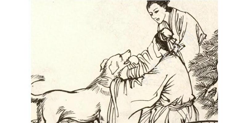 梦见蛇代表要发财还是倒大霉？