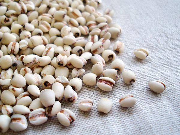 薏米泡水喝真的能祛湿美白吗? 薏米泡水喝真的能祛湿美白吗?