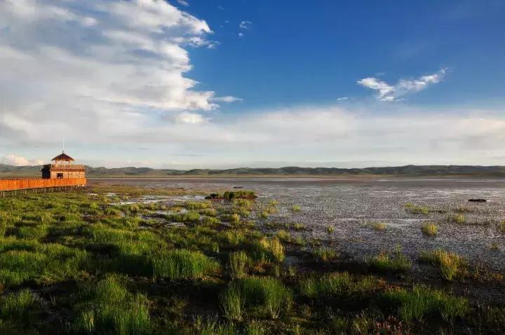 12月4号到底藏着多少你不知道的秘密？