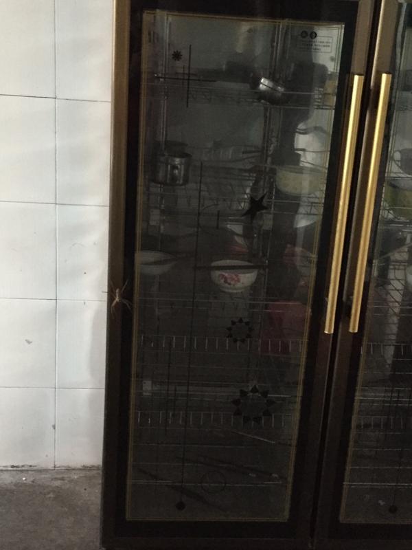 家里突然出现巴掌大的蜘蛛怎么办？