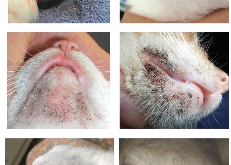 2024年5月24日财神方位查询及最佳招财方位指南