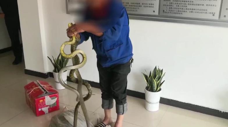 4月23日到底藏着多少你不知道的玩法？