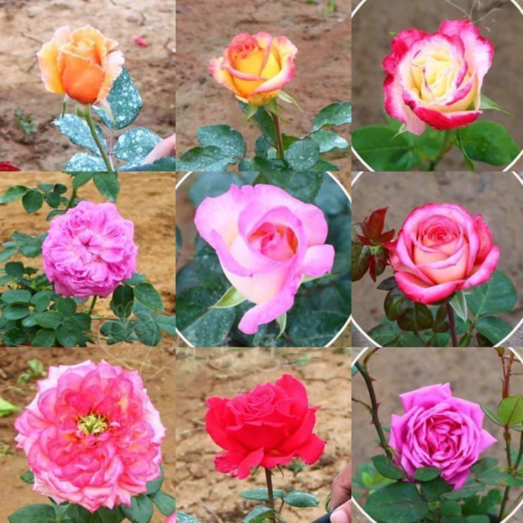 开网店到底要花多少钱？新手必看的避坑指南