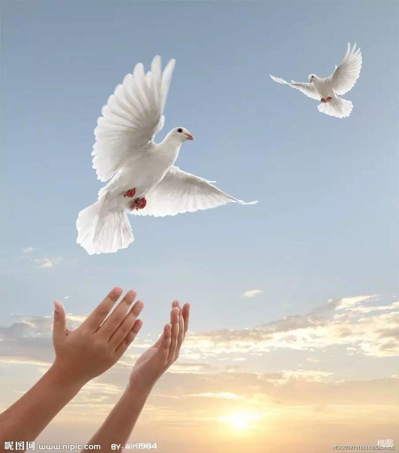 究字到底怎么读？jiū还是jiù？