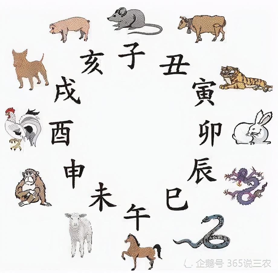 属鼠女找对象必须避开这3个生肖？