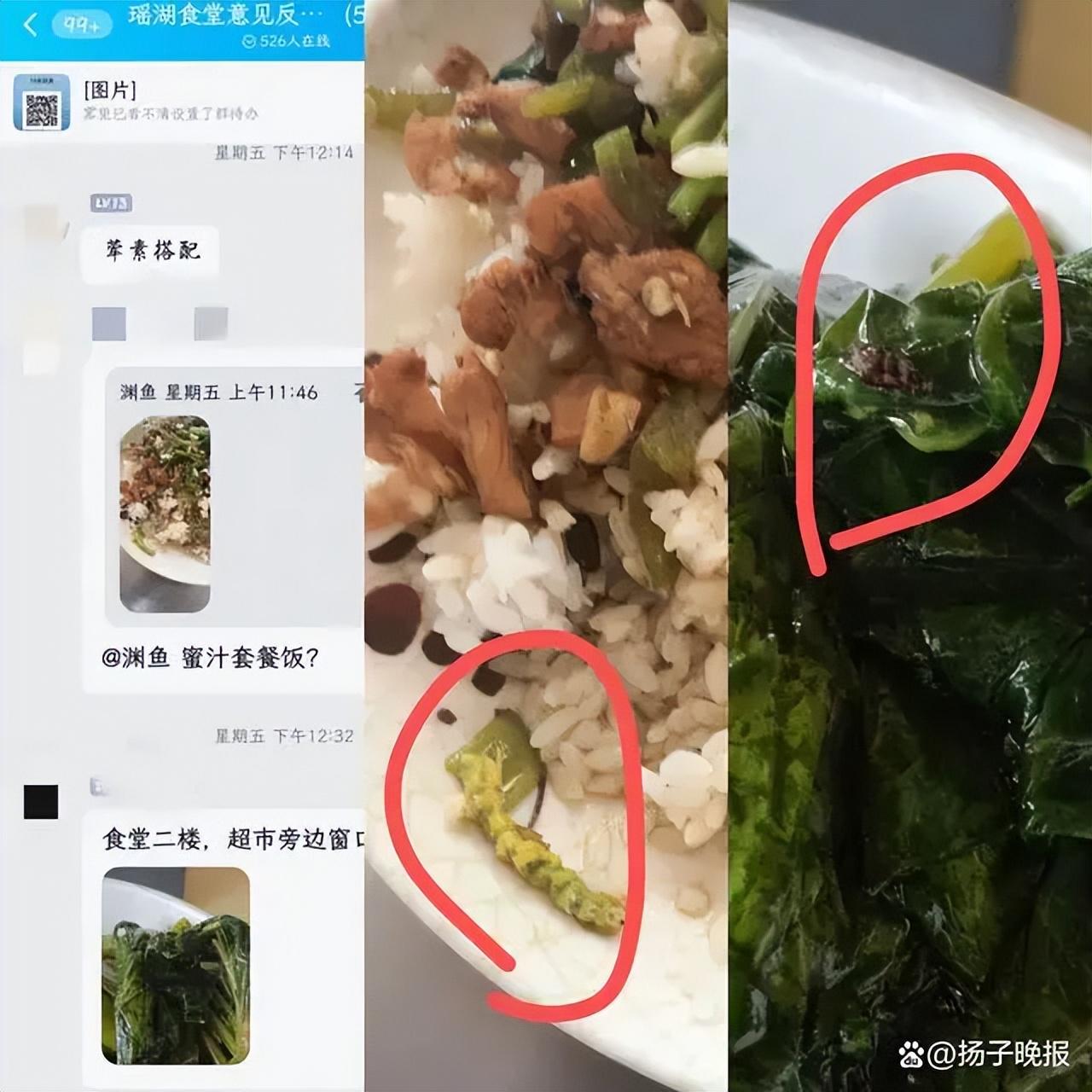 属鼠人2023年到底几岁？一篇文章帮你算清虚岁实岁！