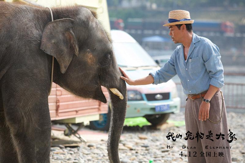 养外星人当宠物真的靠谱吗？