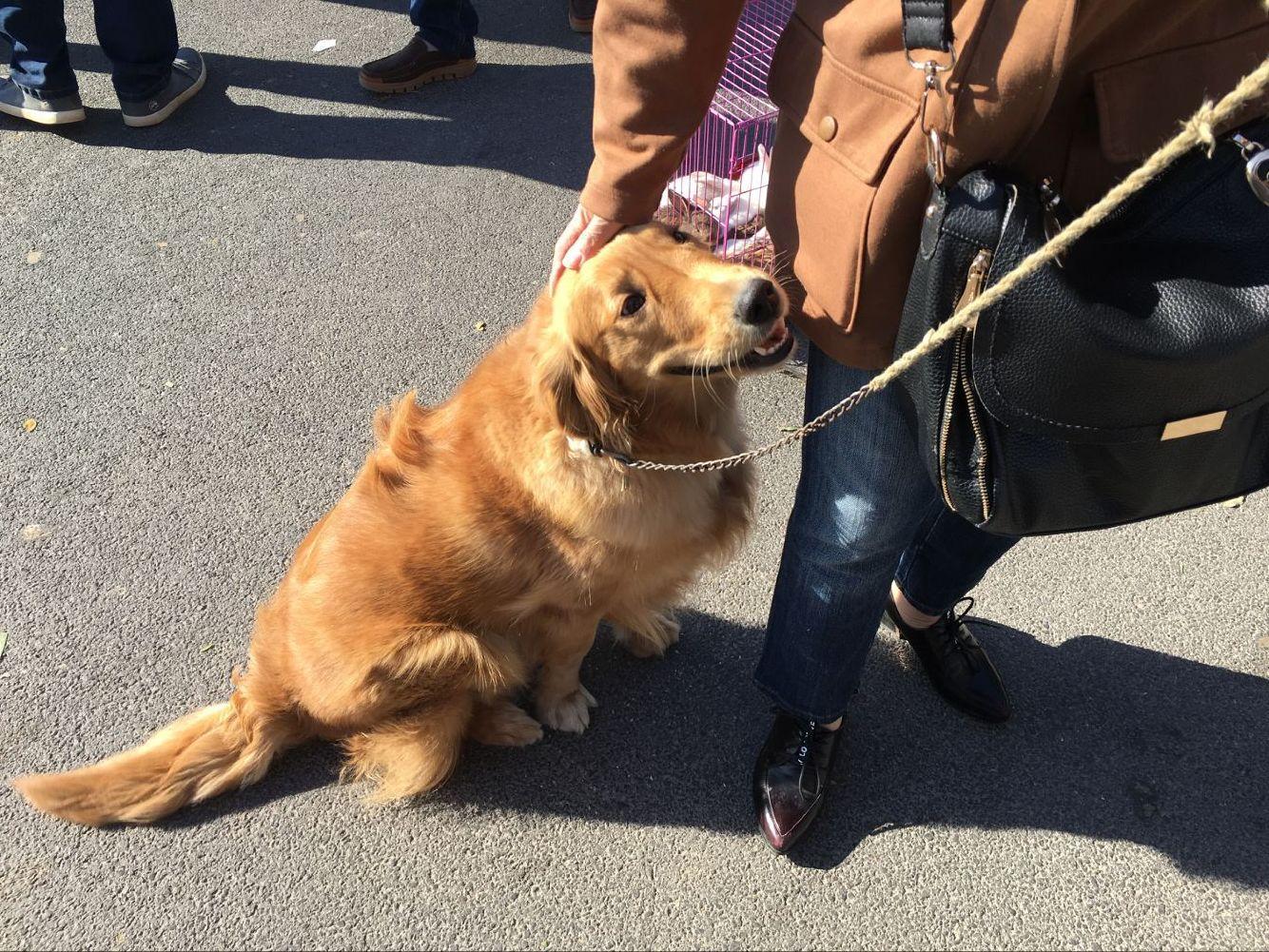 淘宝淘气值怎么才能快速破千？