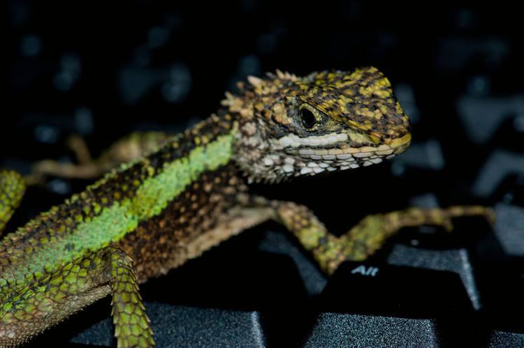 淘宝优惠券真的能省一半钱吗？