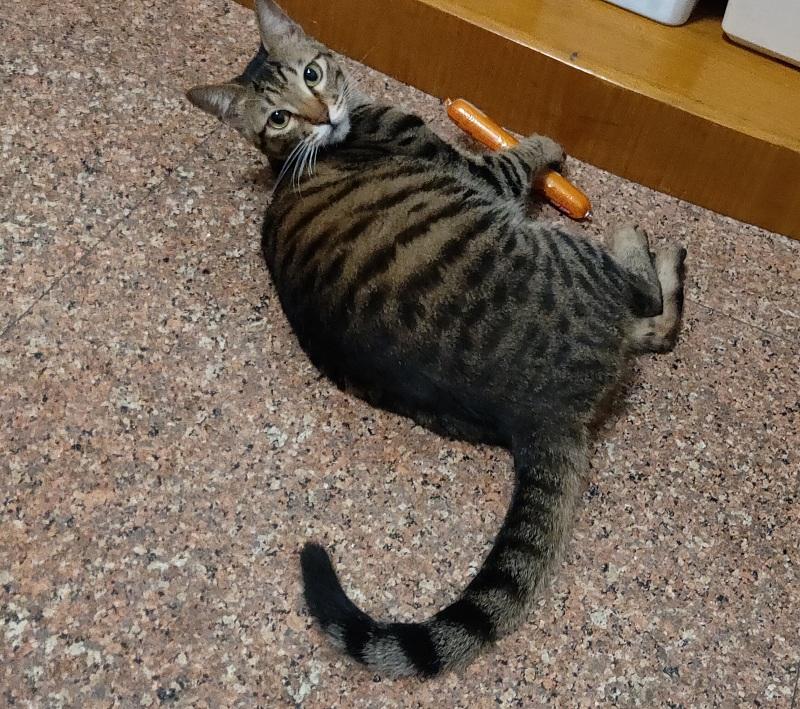 淘宝卖家为什么要买快递单号？