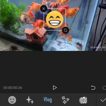 视频剪辑入门真的那么难吗？
