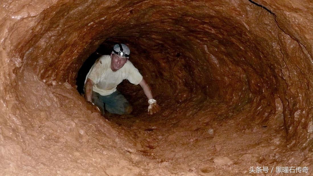 巴西三带犰狳到底有多神奇？