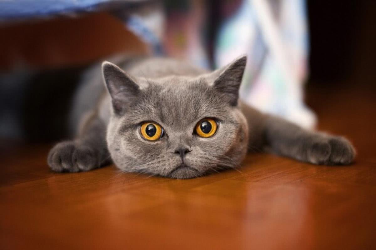 你的厂名为什么总被驳回？