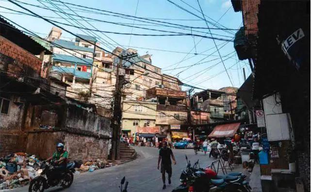 巴西龟冬天不吃饭会饿死吗？